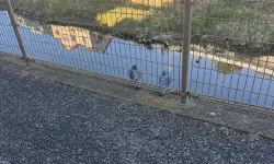 Featured image of post 「深夜の2時間DTM」12月まとめ