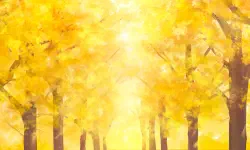 Featured image of post 新曲「イチョウ並木」