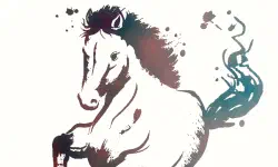 Featured image of post 新曲「午」